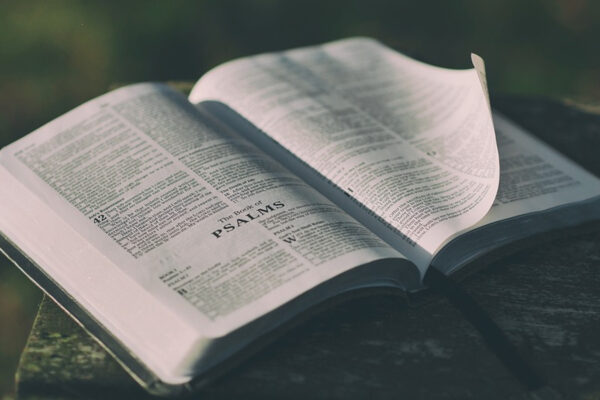 Dr. Jordan Peterson Answers: “Is the Bible True?”