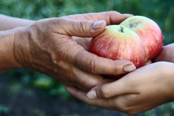How to Transform Your Life Through Generosity | Will Guidara