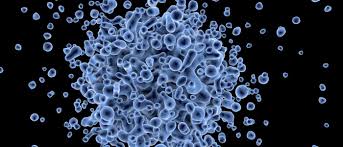 Understanding the Cell Danger Response: A New Lens on Chronic Illness and Healing