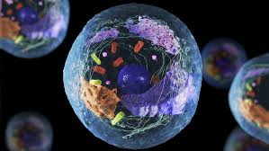Why Cellular Health Matters: The Foundation of Your Well-Being