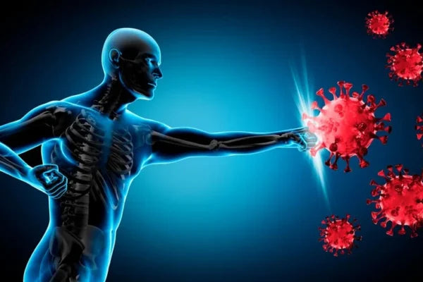 Natural Ways to Build a Bulletproof Immune System