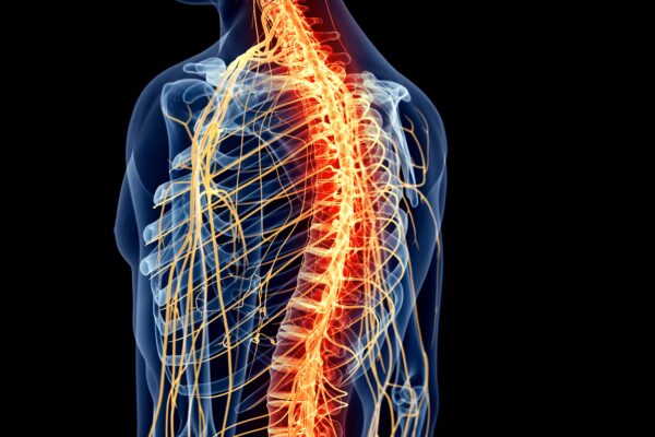 How to Optimize the Brain-Body Connection