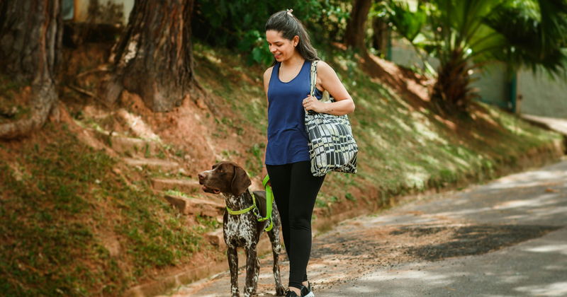 7 Best Perimenopause Supplements Ranked by a Doctor