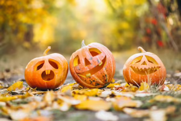 Should Christians Celebrate Halloween?