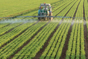Is Our Food Becoming Less Nutritious?